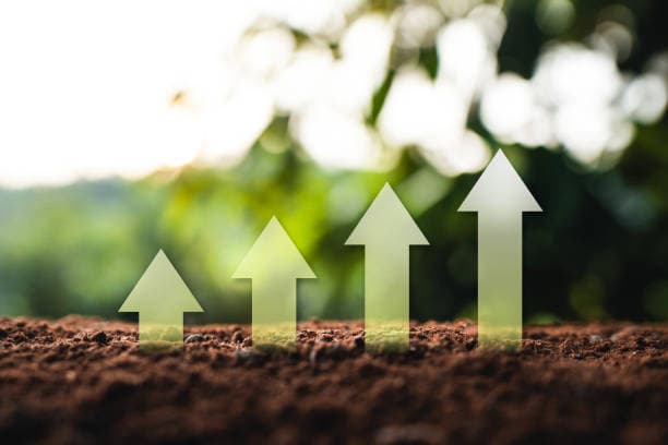 Sustainability & Community