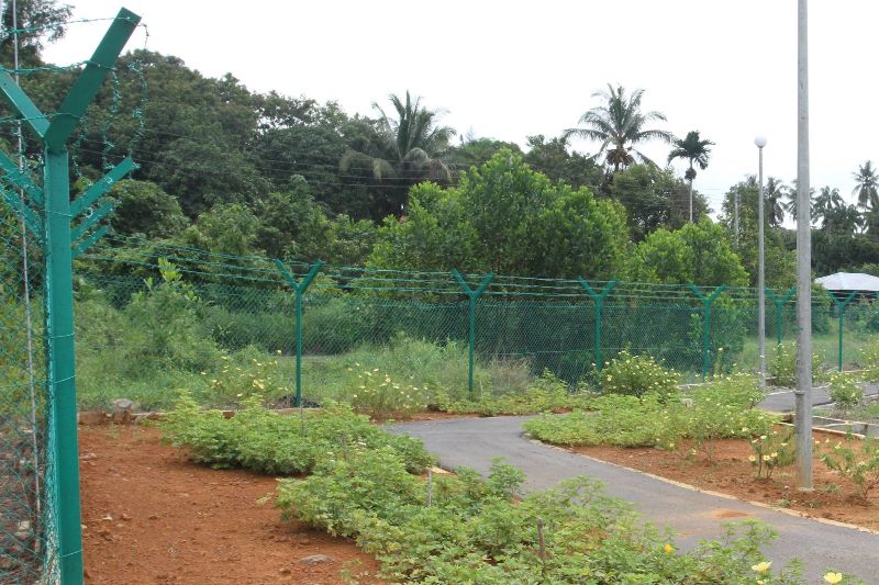 Paved Campus Jogging Track